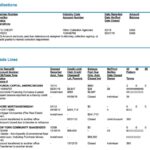 Credit history score vs iii