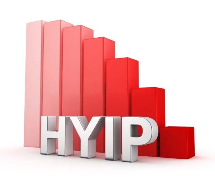 Investment yield hyip schemes